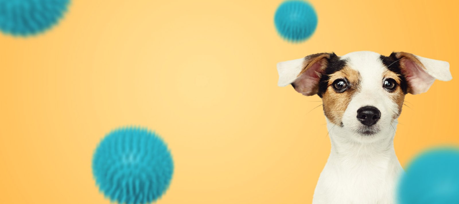 Banner de Meu Diário PET
