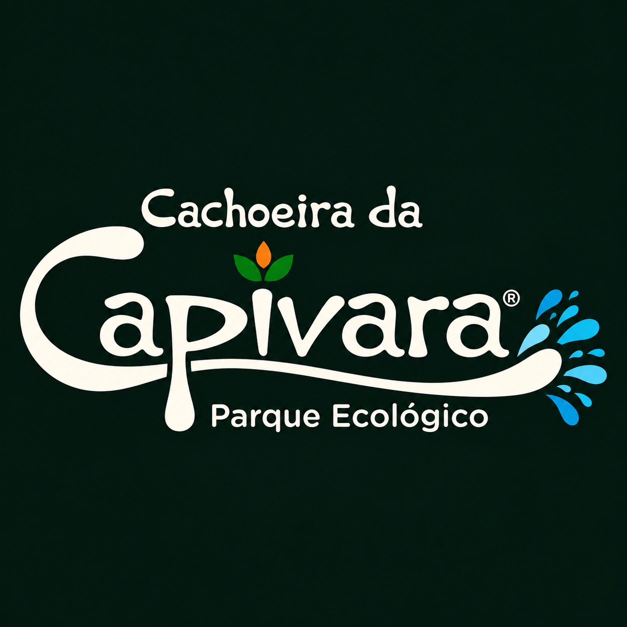 Cachoeira da Capivara Parque Ecológico